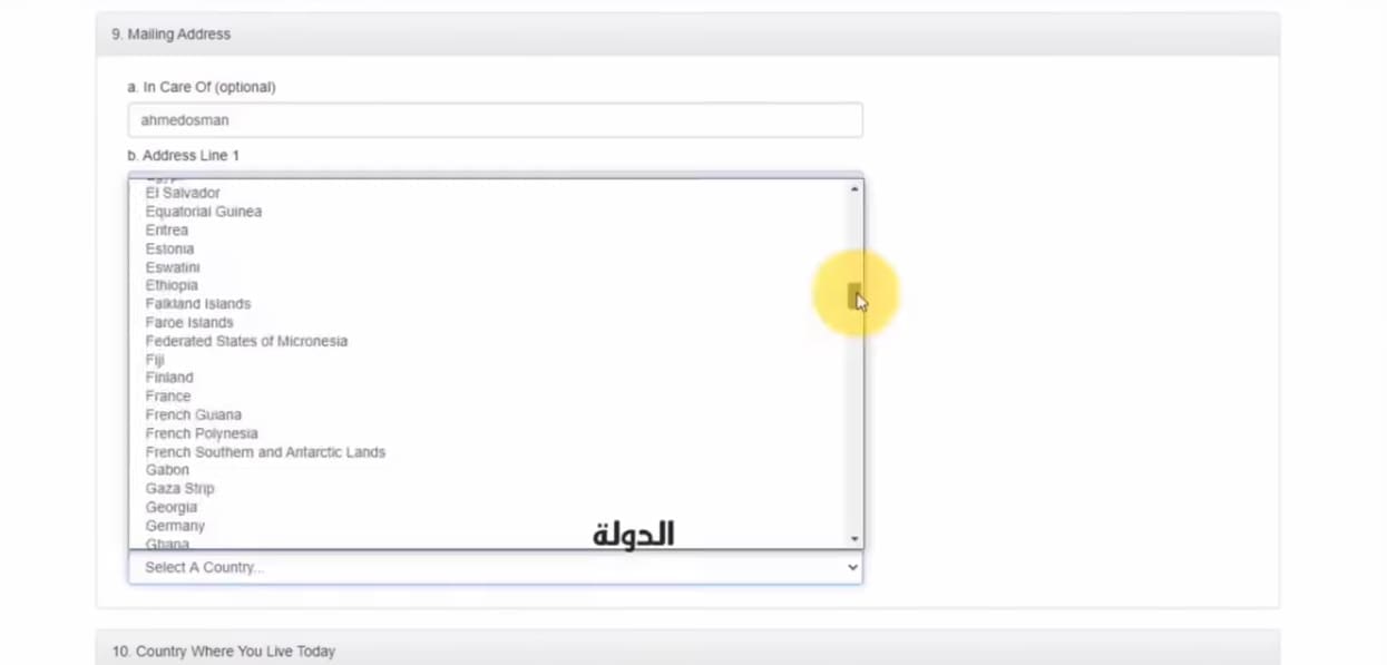 خطوات التقديم في الهجرة العشوائية لأمريكا وموعد التسجيل والشروط المطلوبة 2024