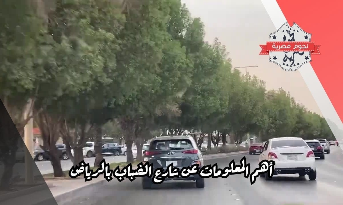 أهم المعلومات عن شارع الضباب بالرياض