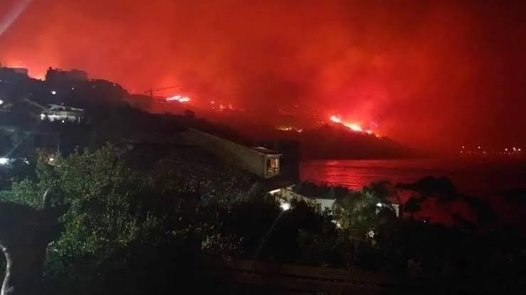 صورة لاندلاع حرائق بغابات الجزائر _ المصدر: المشهد