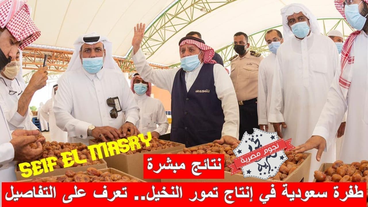 طفرة في إنتاج التمور في السعودية (مصدر الصورة. موقع العربية)