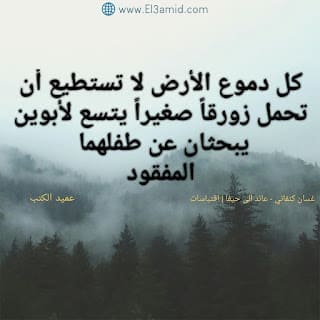 إقتباس من رواية «عائد إلى حيفا» - موقع عميد الكتب
