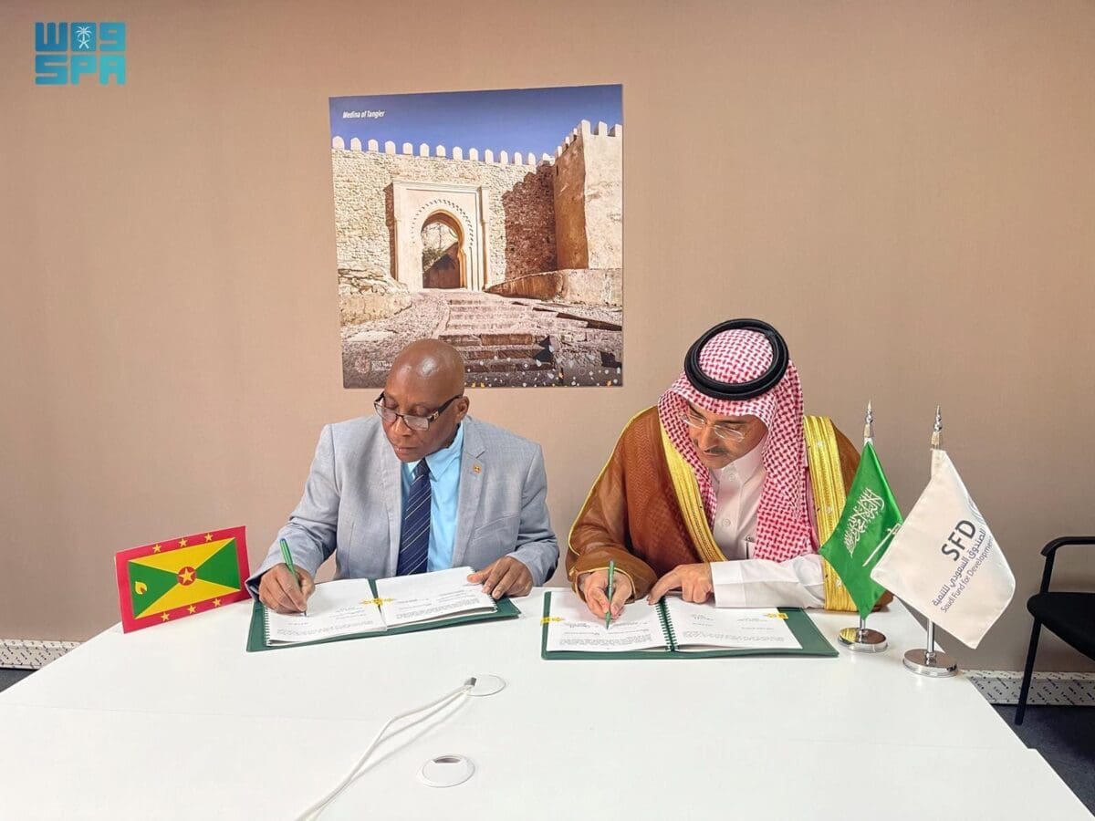الصندوق السعودي للتنمية