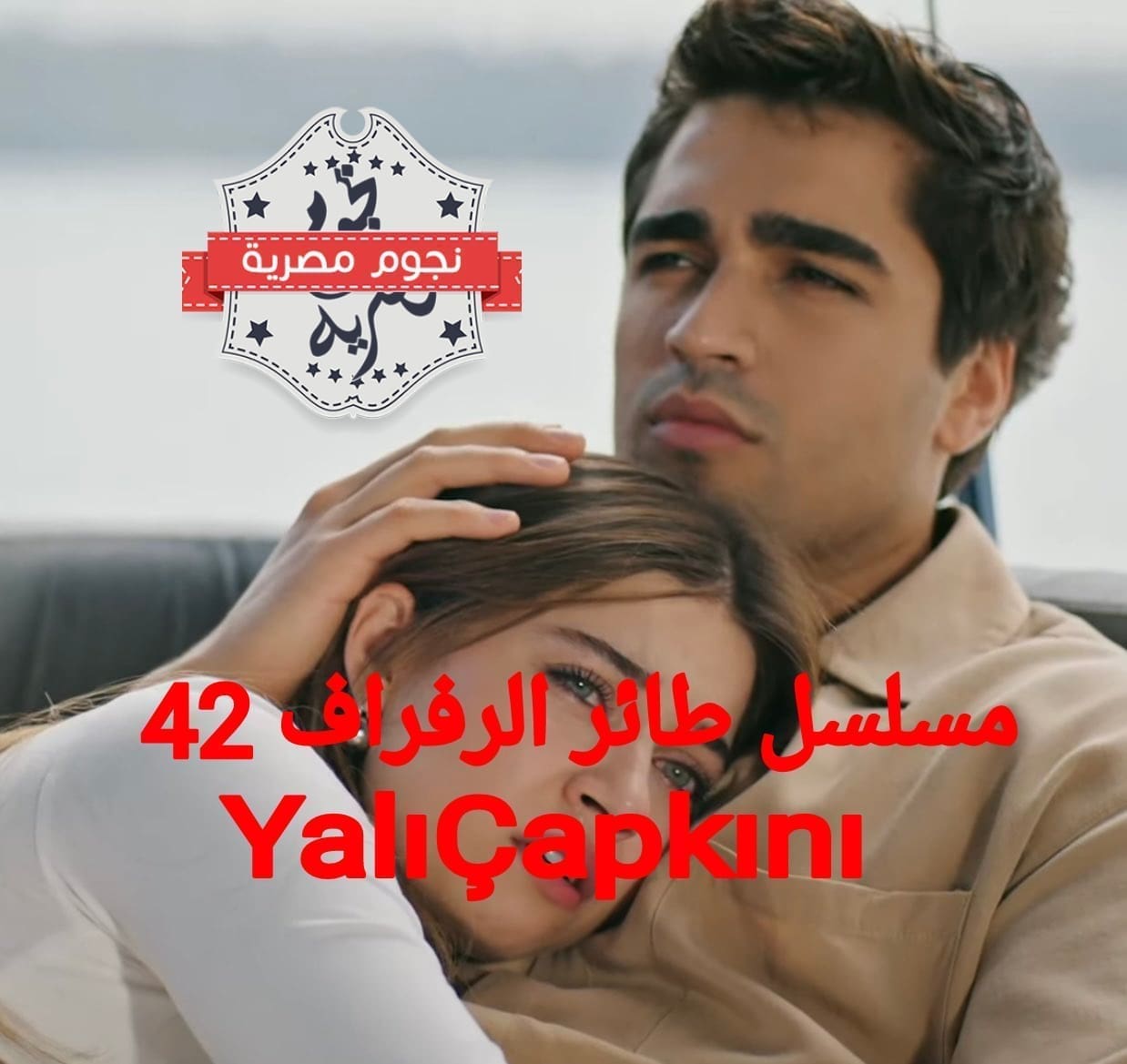 الطائر الرفراف الحلقة 42 YalıÇapkını