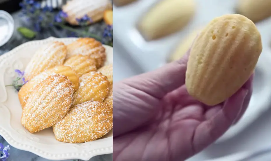 Madeleine