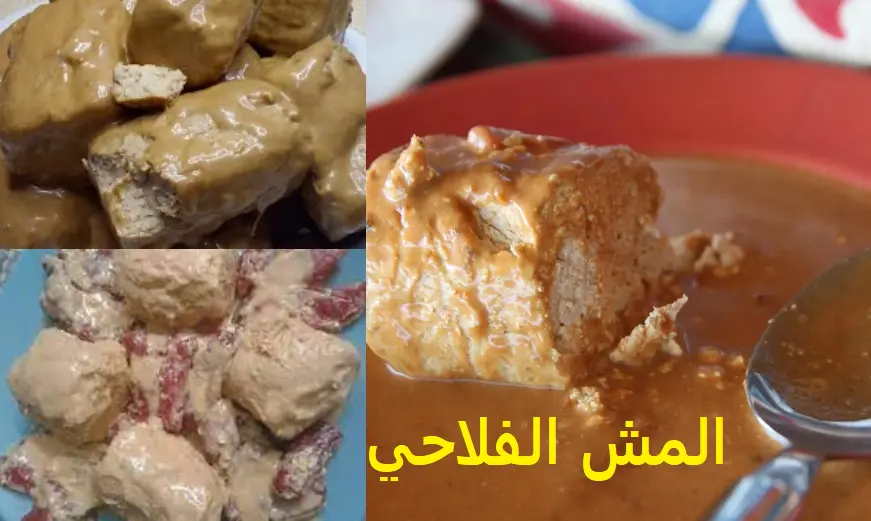 المش الفلاحي