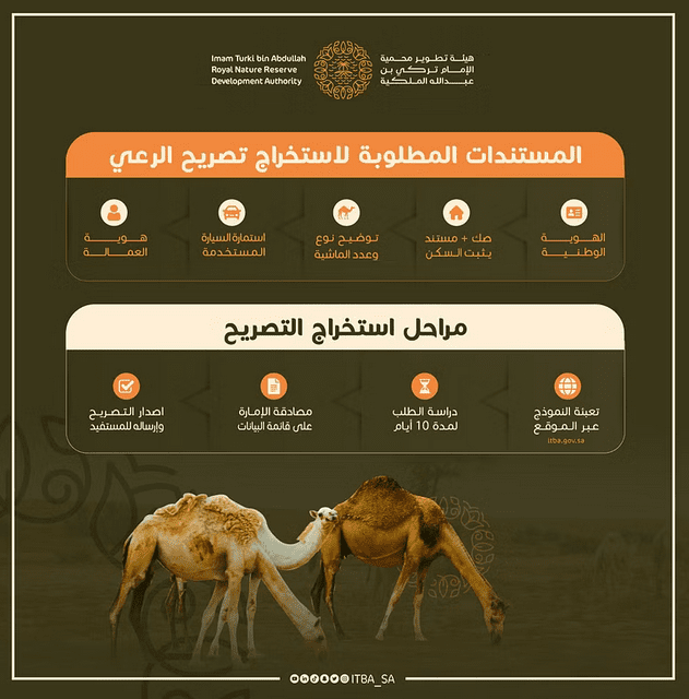 مخطط يوضح المستندات المطلوبة ومراحل استخراج التصريح-المصدر:جريدة سبق الإلكترونية