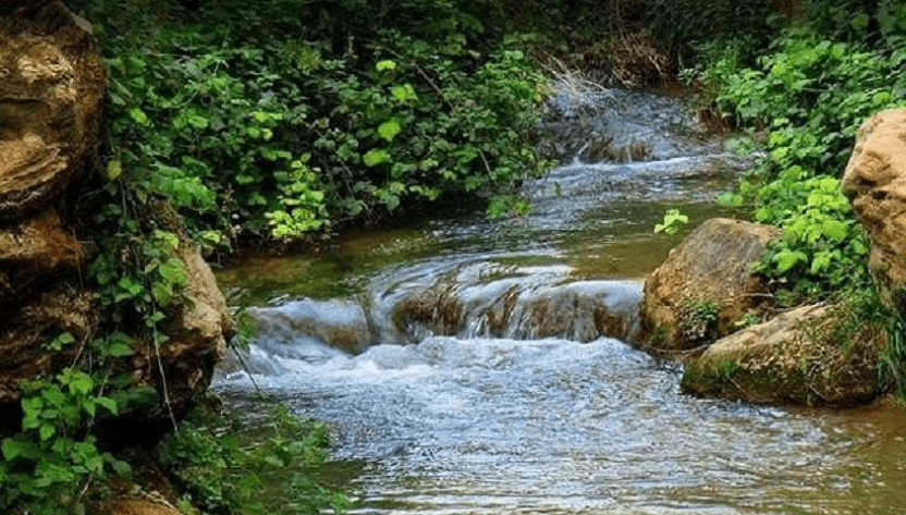 أهم المعالم السياحية وأماكن الفسح في الفيوم.. جولة سياحية في أهم المعالم والأماكن الطبيعية الساحرة