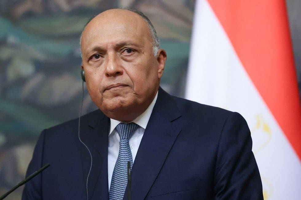 وزير الخارجية المصري