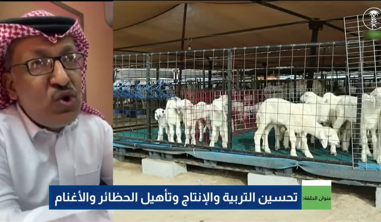 وافي سلامة الشمري ينصح المربين للأغنام والماعز