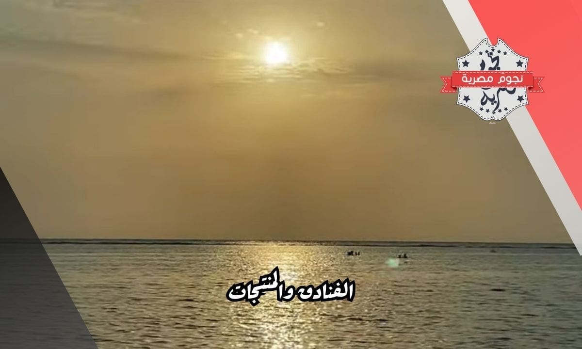 الفنادق والمنتجات