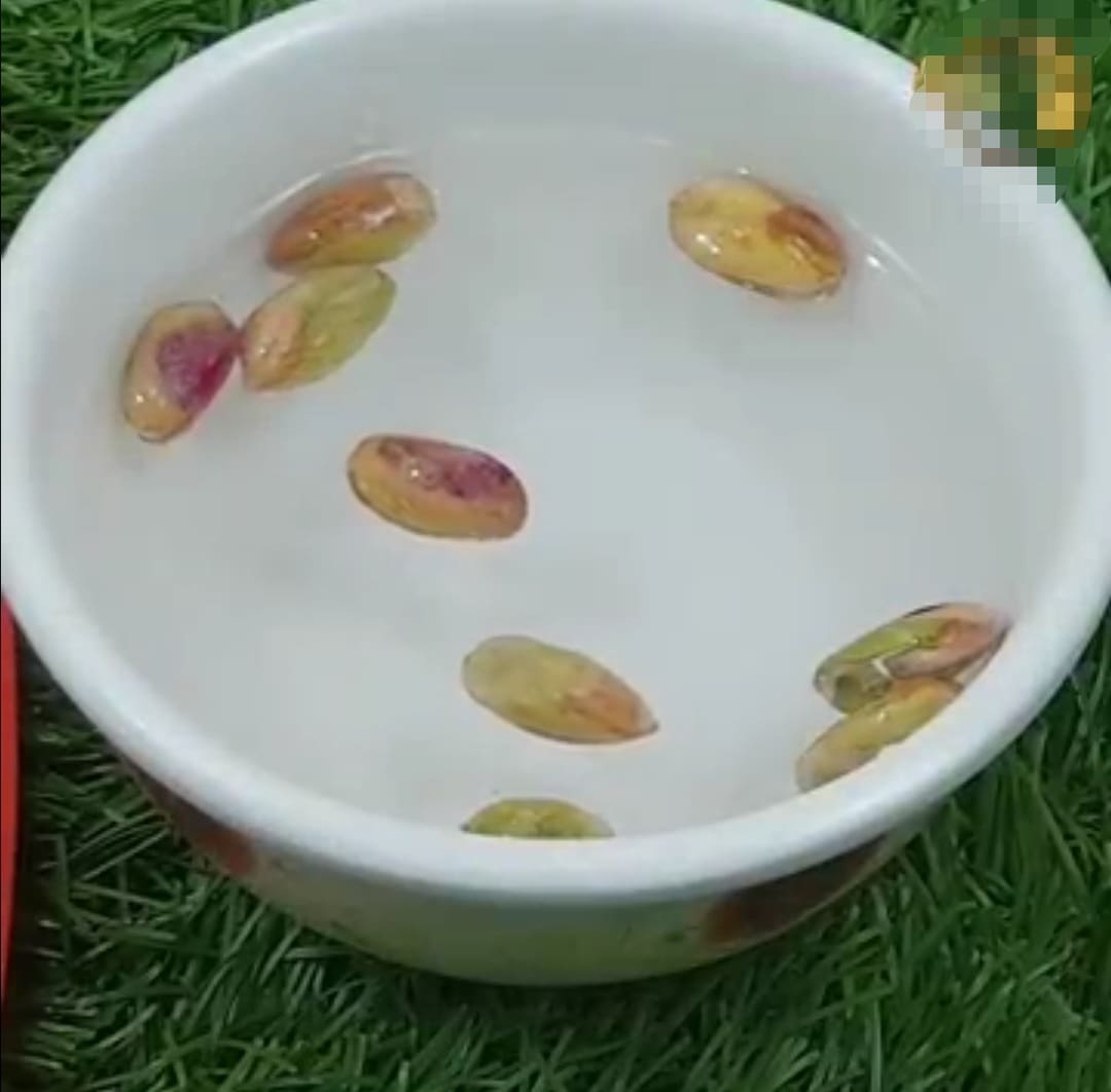 طريقة زراعة الفستق 