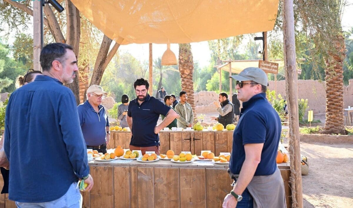 مهرجان العلا للحمضيات
