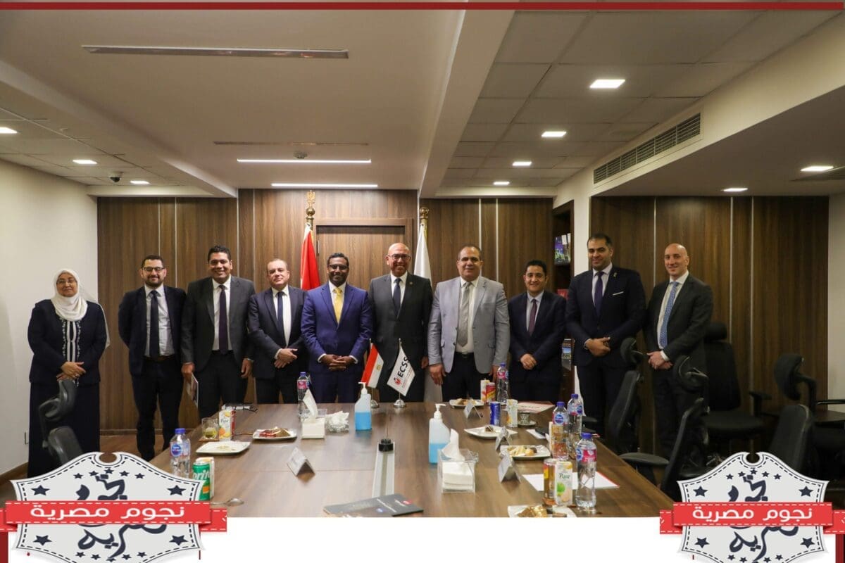 المركز المصري للفكر والدراسات الاستراتيجية