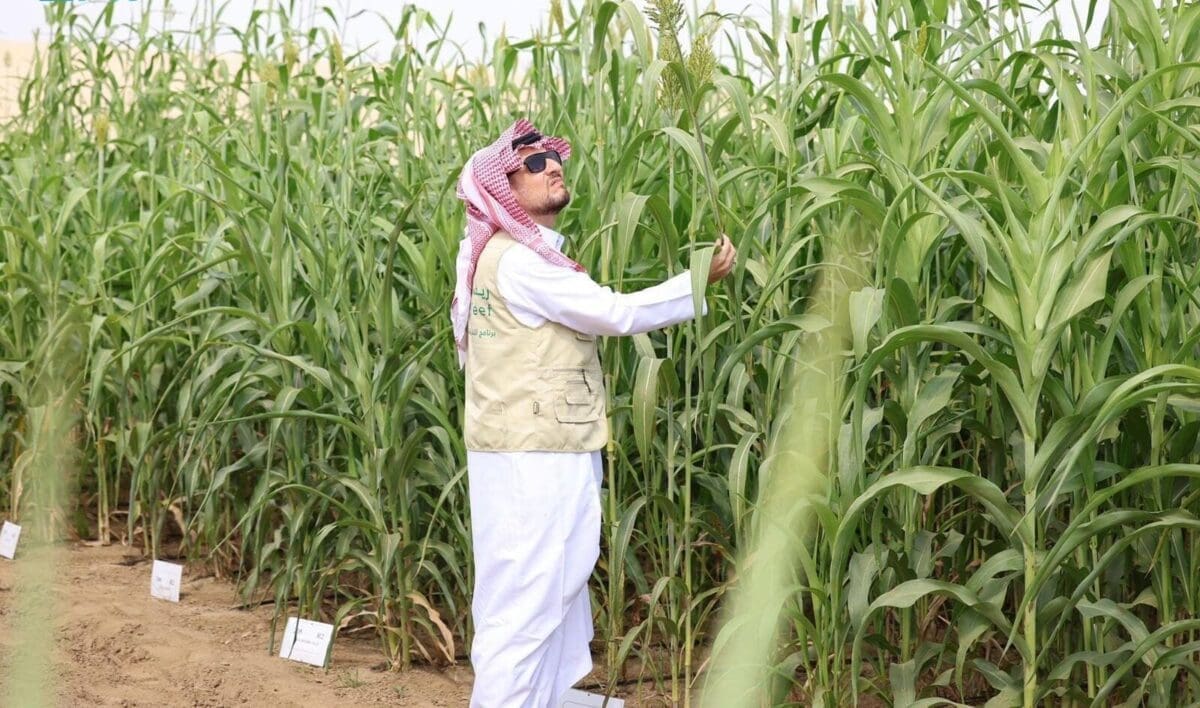 دعم ريف