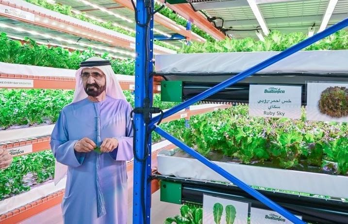 مجمد بن راشد يستعرض منتجات "بستانك"- المصدر واس
