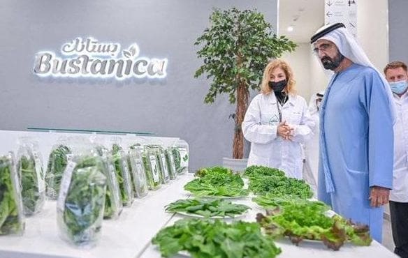 مجمد بن راشد يستعرض منتجات "بستانك"- المصدر واس