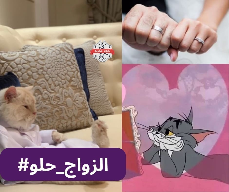#الزواج_حلو.. رائج الآن على "إكس" بين أبناء المملكة ونصائح هامة يقدمها النشطاء