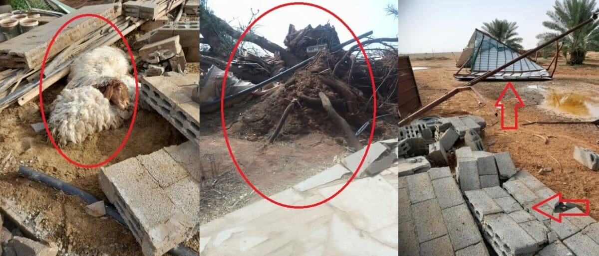 عاصفة شديدة بشقراء