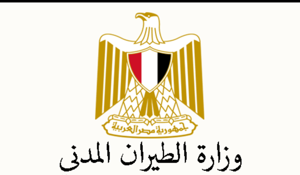 وزارة الطيران تنفي أنباء سقوط طائرة مصرية وسقوط جميع ركابها