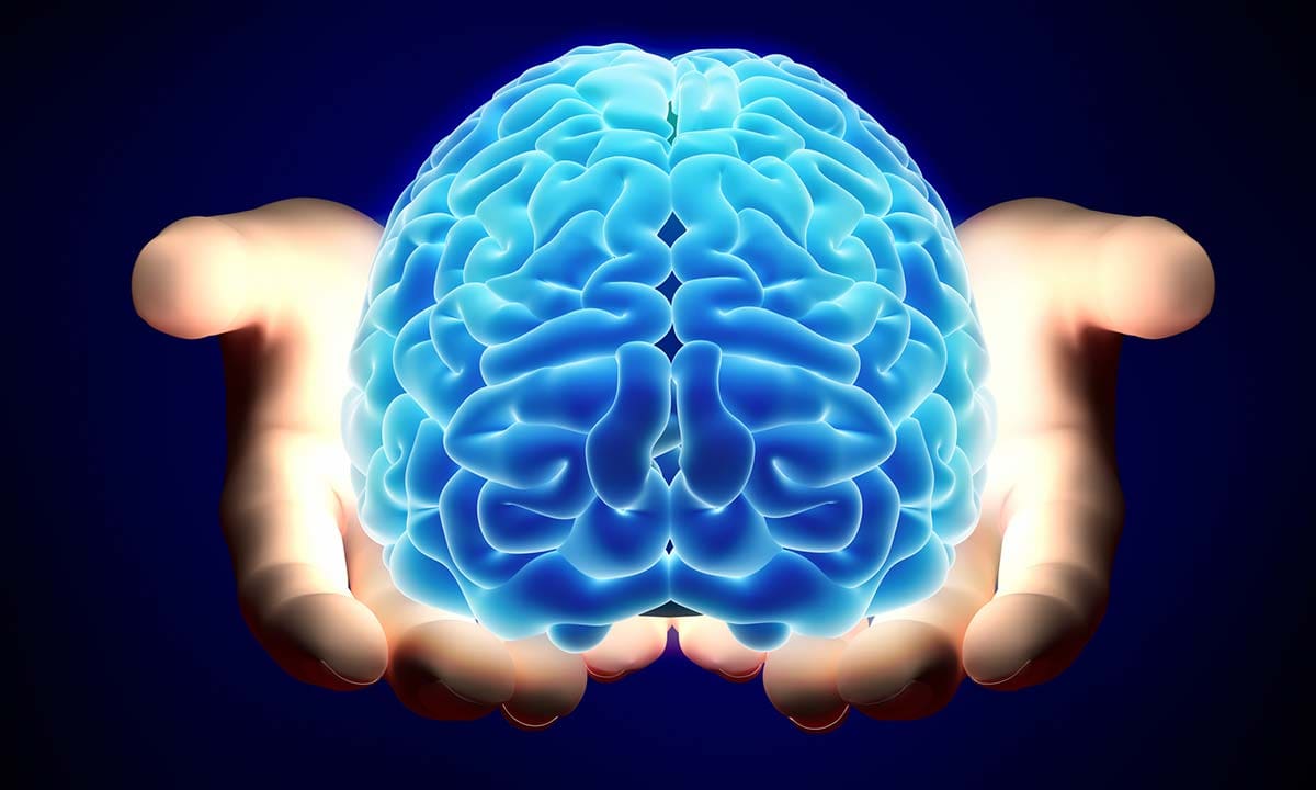 صحة الدماغ بين الشاشات والكتب: أي منهما أفضل؟
