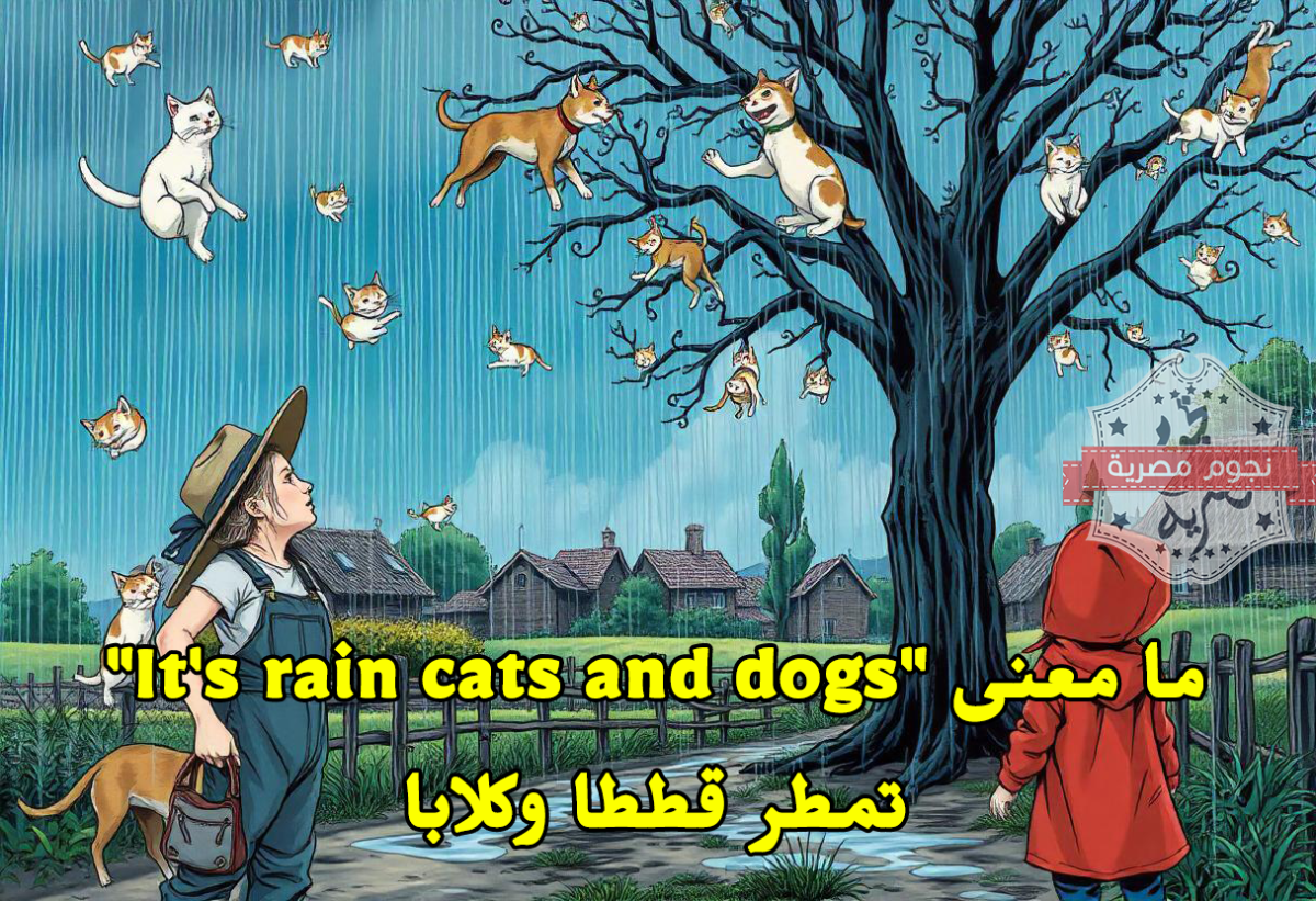 ما معنى "It's rain cats and dogs" تمطر قططا وكلابا