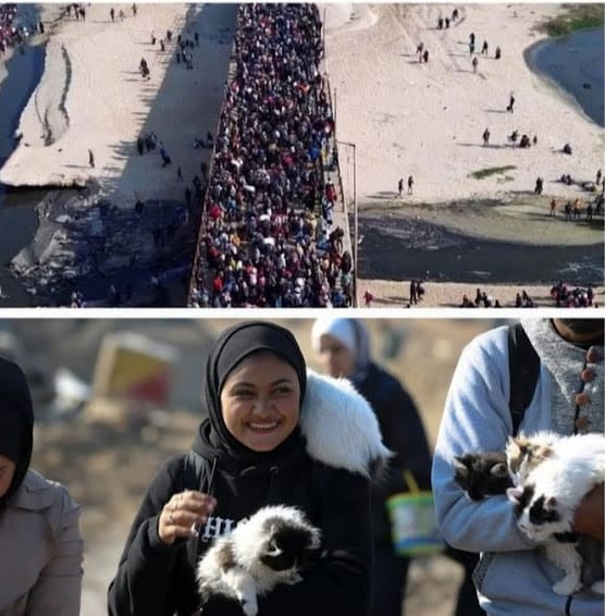 محلل عسكري إسرائيلي