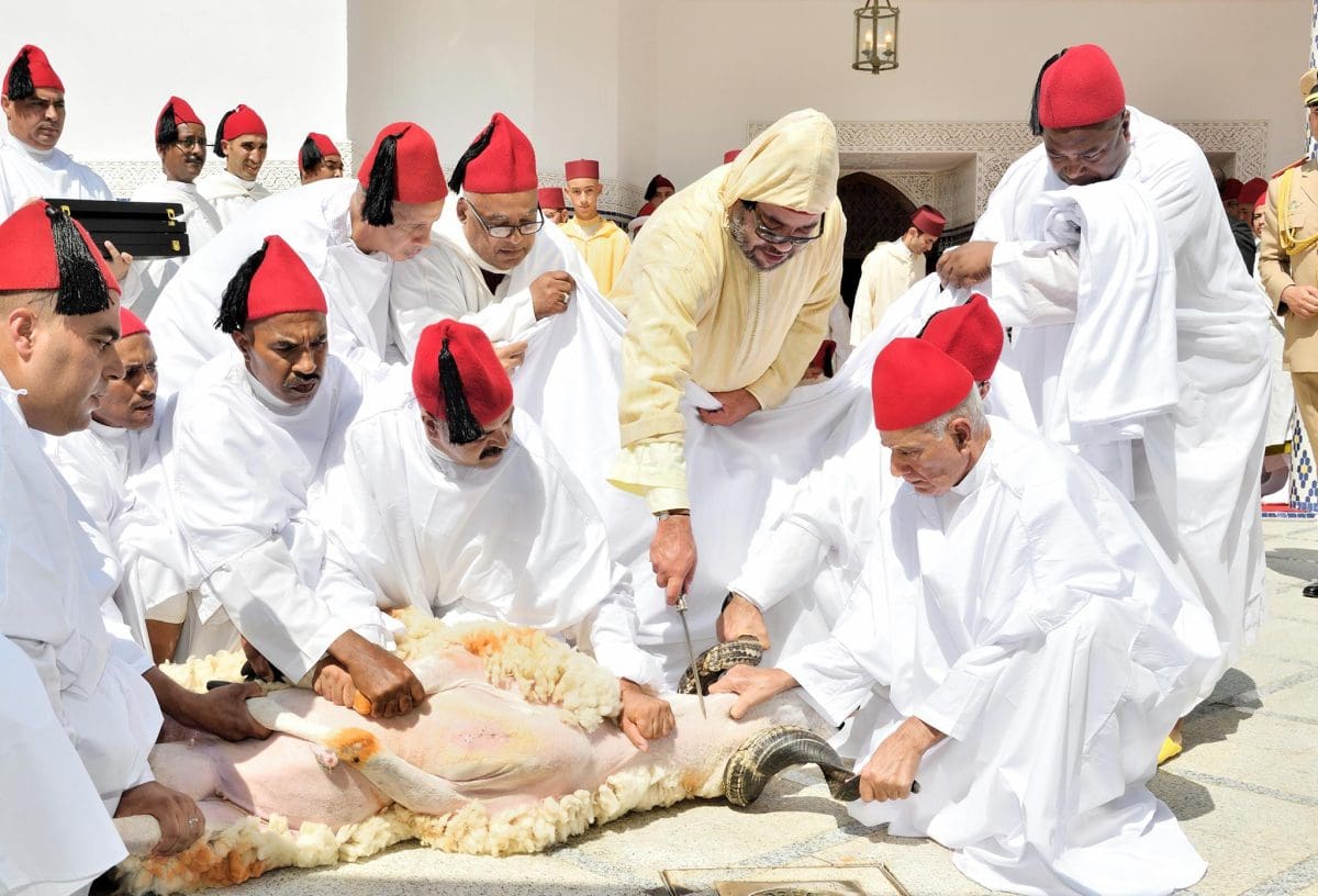محمد السادس ملك المغرب 