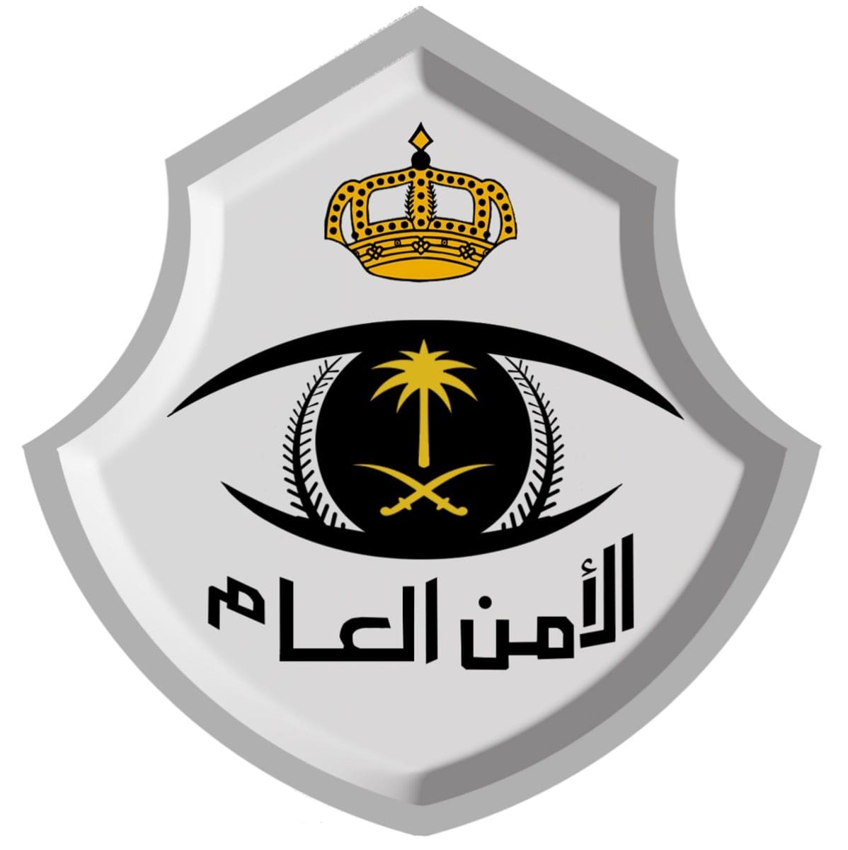 عاجل من الأمن العام.. احذروا من الإتصالات الواردة والرسائل التي تطلب منكم هذا الأمر