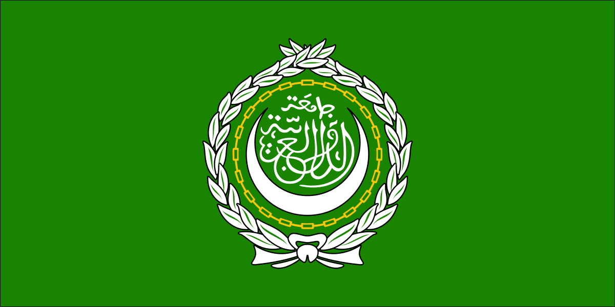 أحمد أبو الغيط