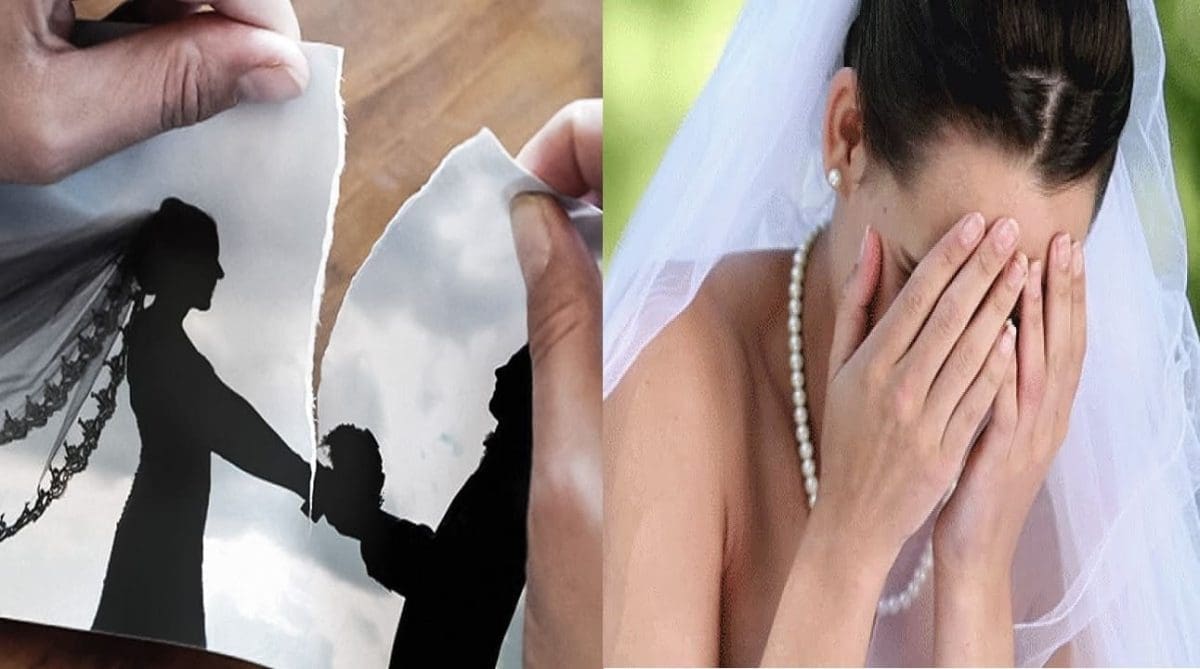 العروسة الخوّافة.. قط يتسبب في هروب عروسة من بيت زوجها لبيت أبيها بعد شهرين زواج