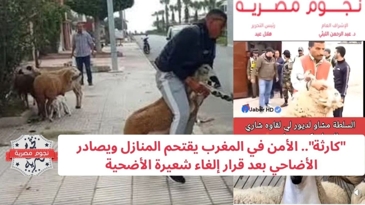 "كارثة".. الأمن في المغرب يقتحم المنازل ويصادر الأضاحي بعد قرار إلغاء شعيرة الأضحية