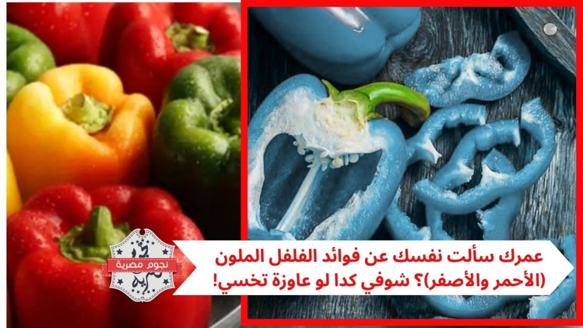 عمرك سألت نفسك عن فوائد الفلفل الملون (الأحمر والأصفر)؟ شوفي كدا لو عاوزة تخسي!