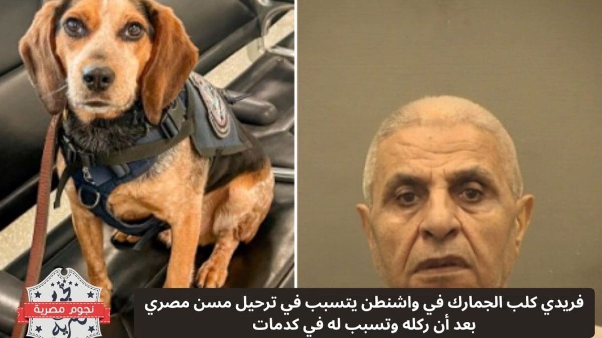 فريدي كلب الجمارك في واشنطن يتسبب في ترحيل مسن مصري بعد أن ركله وتسبب له في كدمات