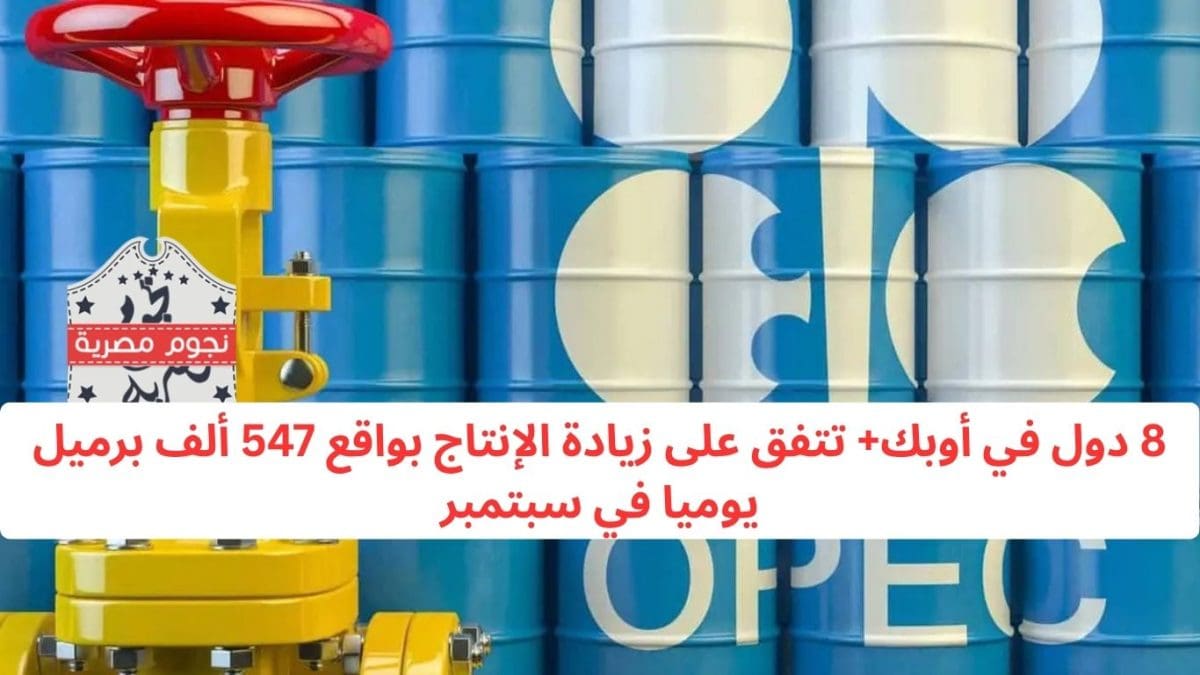 8 دول في أوبك+ تتفق على زيادة الإنتاج بواقع 547 ألف برميل يوميا في سبتمبر
