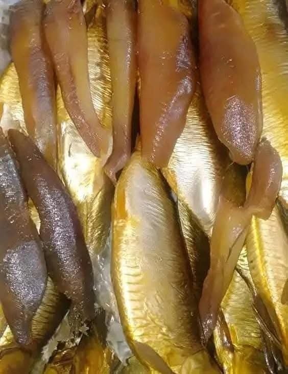 بطارخ الرنجة: السر في أصل المعرفة