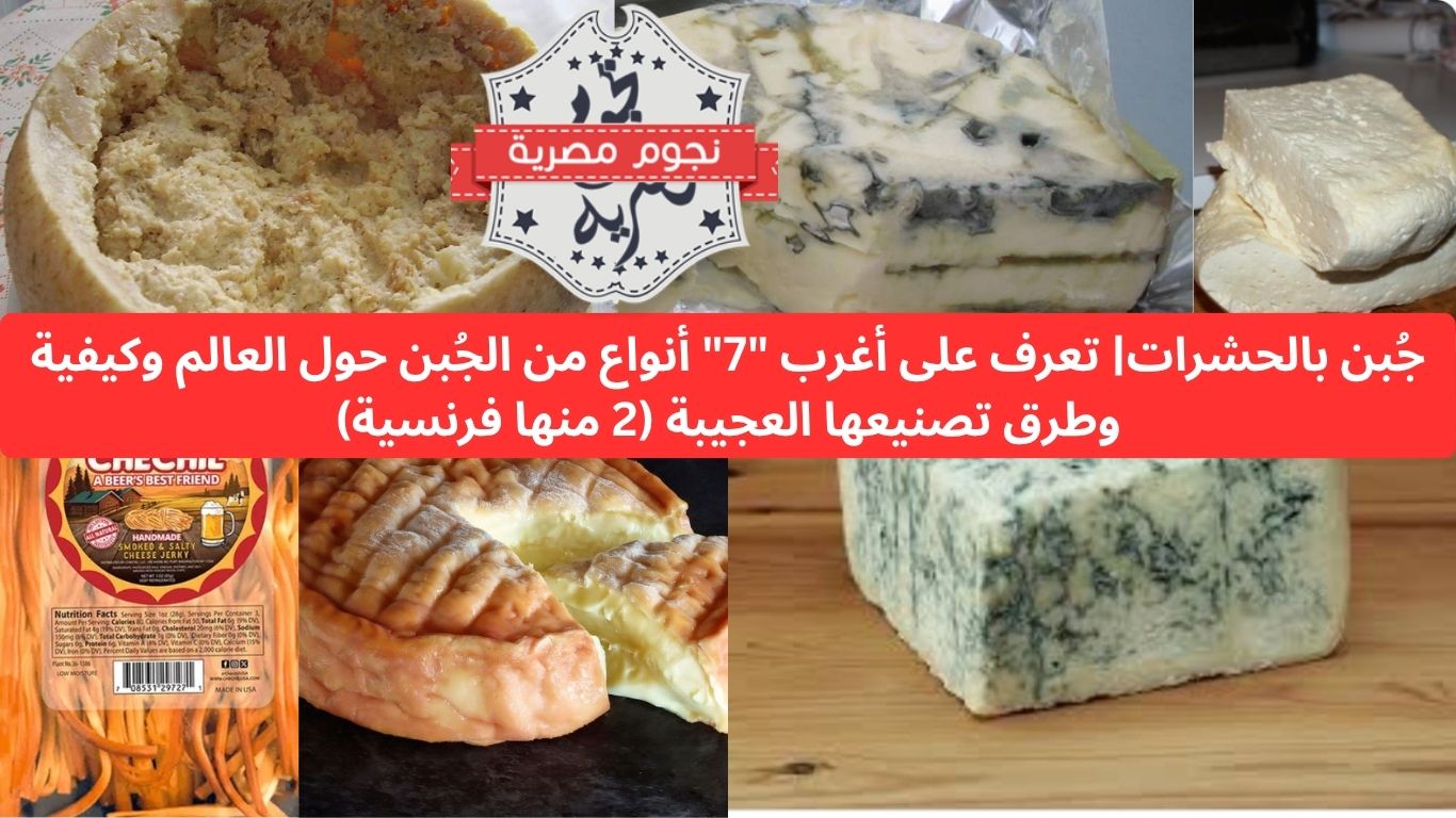 جُبن بالحشرات| تعرف على أغرب "7" أنواع من الجُبن حول العالم وكيفية وطرق تصنيعها العجيبة (2 منها فرنسية)