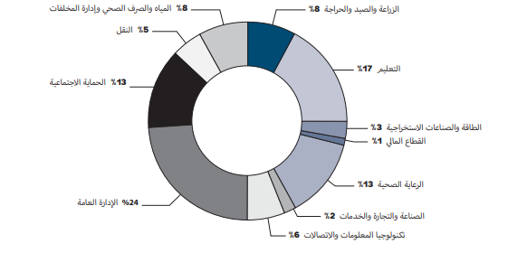 توزيع التمويل حسب القطاعات في الشرق الأوسط وشمال أفريقيا (FY2024)