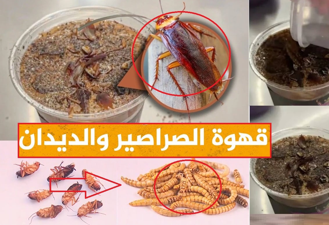 Sorry! Image not available at this time