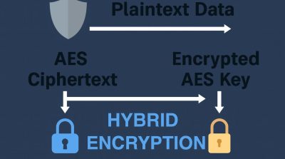 شرح التشفير AES وRSA والتشفير الهجين المستخدم في HTTPS