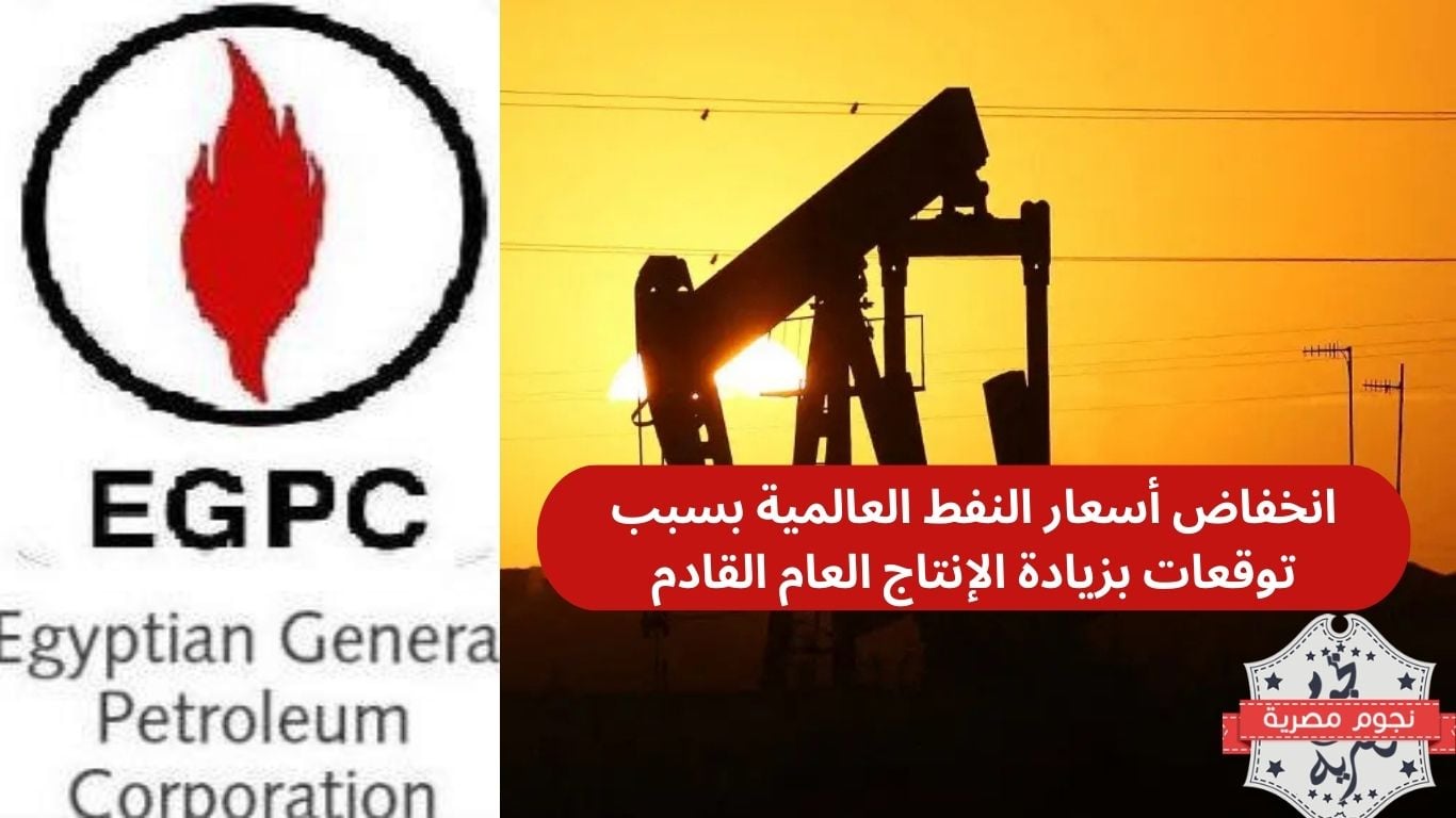 انخفاض أسعار النفط العالمية بسبب توقعات بزيادة الإنتاج العام القادم