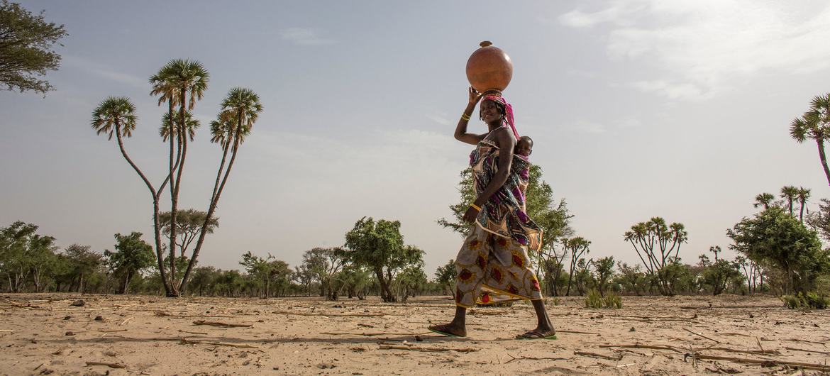 اتفاقية التصحر، مصدر الصورة، موقع الأمم المتحدة