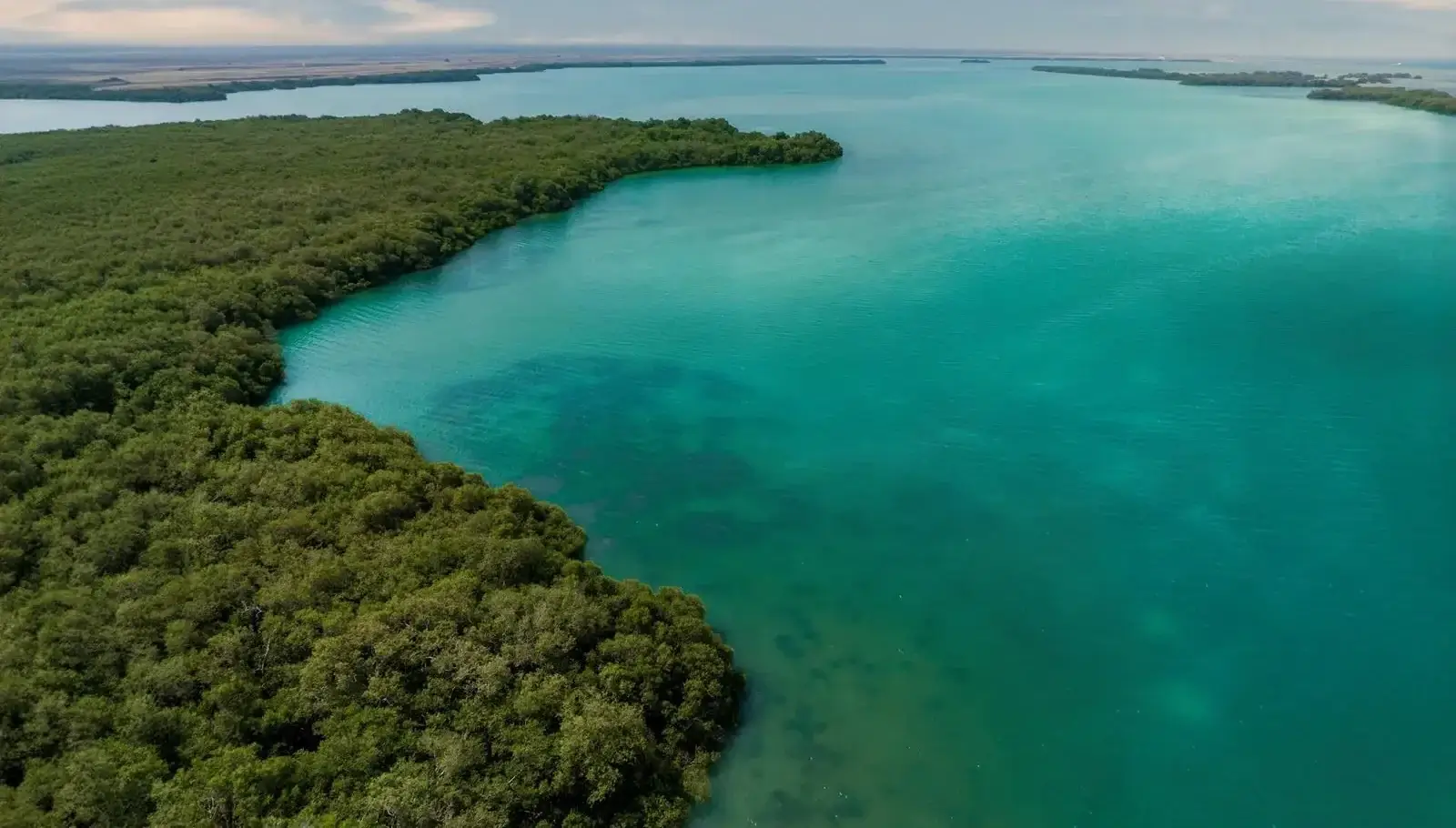 Sorry! Image not available at this time