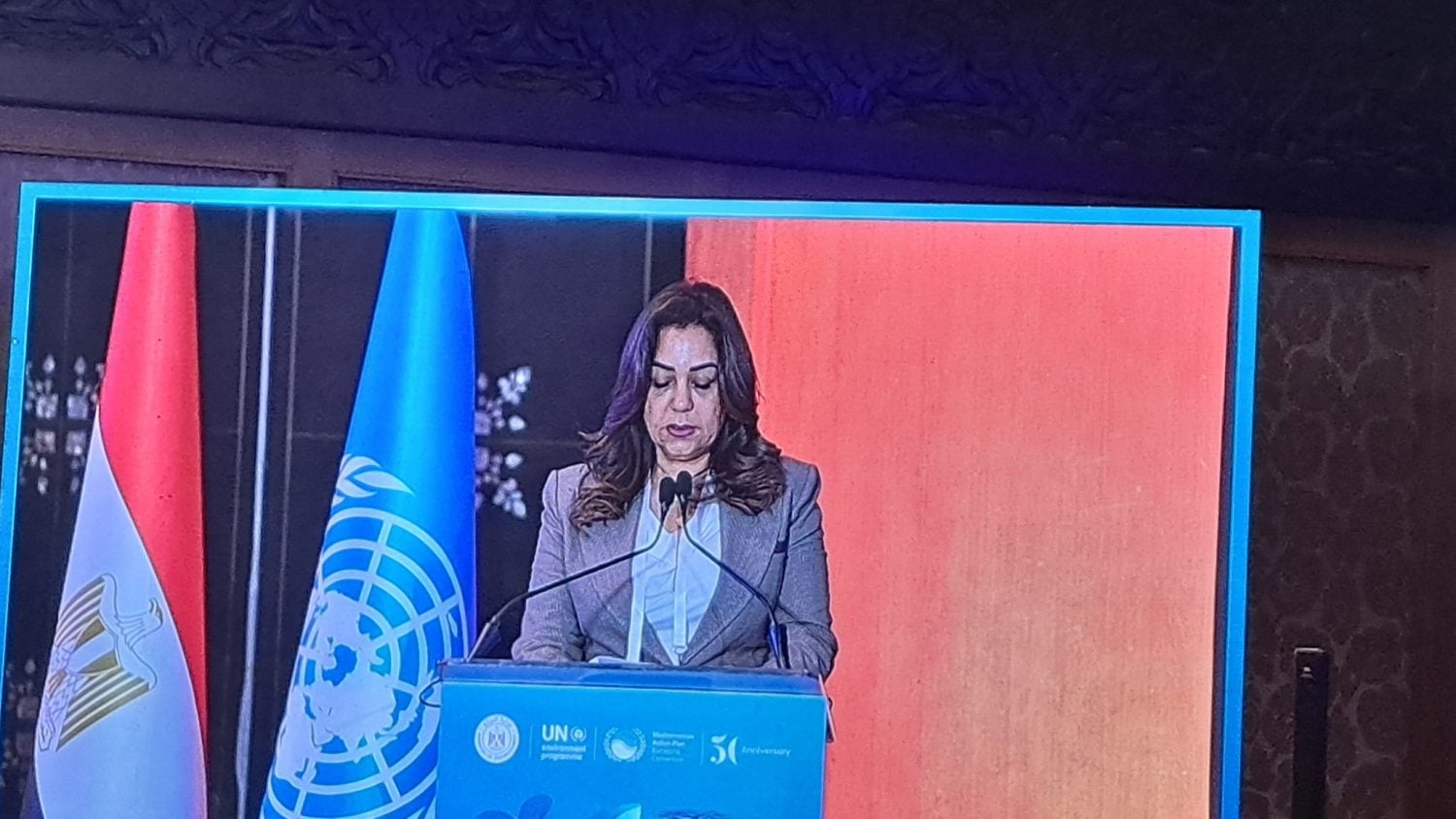 دكتورة منال العوضي،وزيرة التنمية المحليةو القائم بأعمال وزيرة البيئة